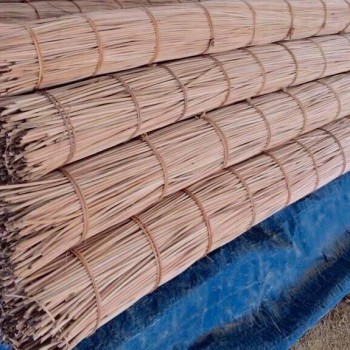 Ruột mây